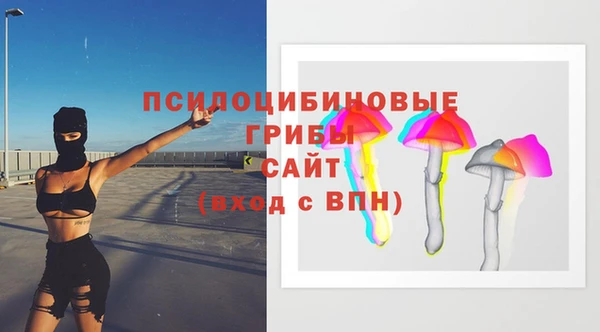 сатива Белокуриха