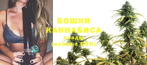 сатива Белокуриха