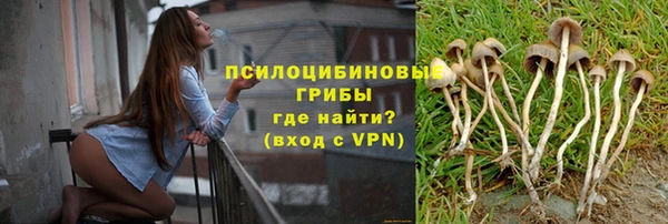 сатива Белокуриха