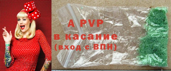 сатива Белокуриха