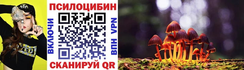 где найти   Верхний Тагил  Галлюциногенные грибы Cubensis 